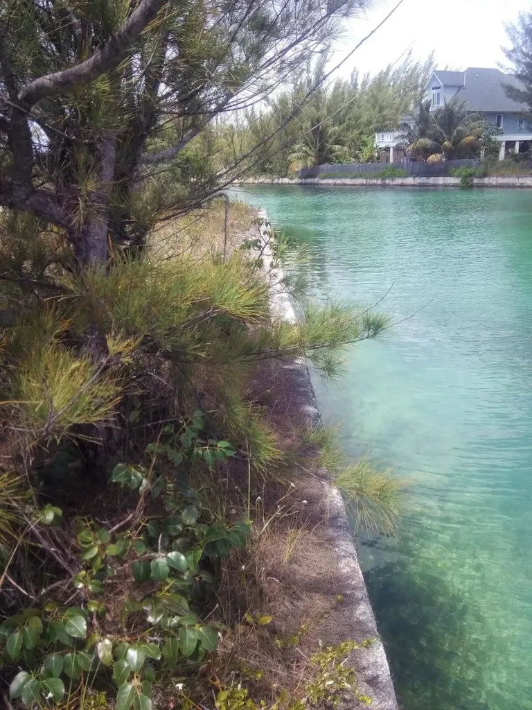 Lindsell Grand Bahama Freeport BS