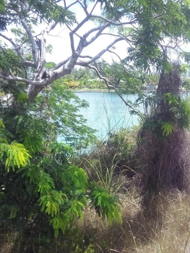 Lindsell Grand Bahama Freeport BS