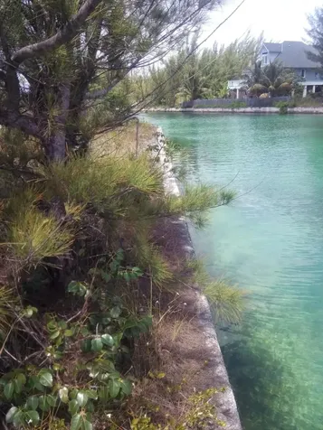 Lindsell Grand Bahama Freeport BS