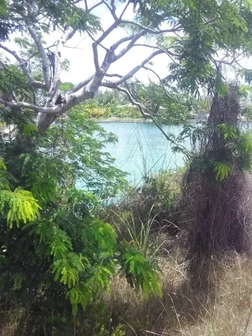 Lindsell Grand Bahama Freeport BS