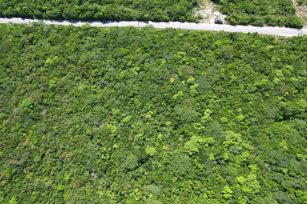 Queens Highway Eleuthera BS