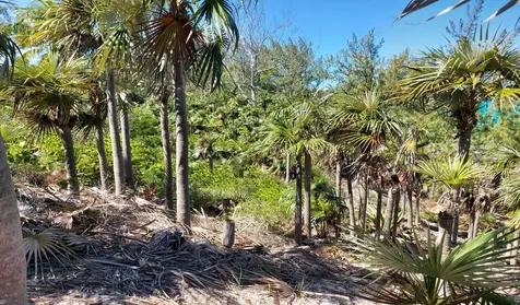 Banks Road Beachfront Eleuthera BS