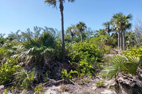 Banks Road Beachfront Eleuthera BS
