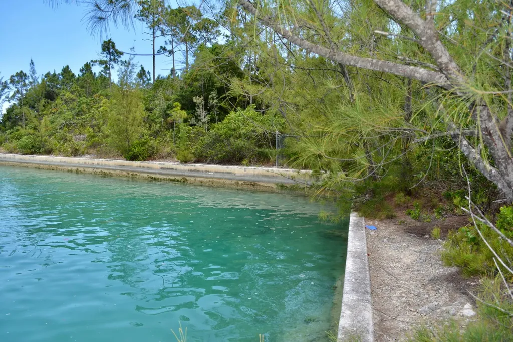 Bahamas Drive 38 Grand Bahama Freeport BS