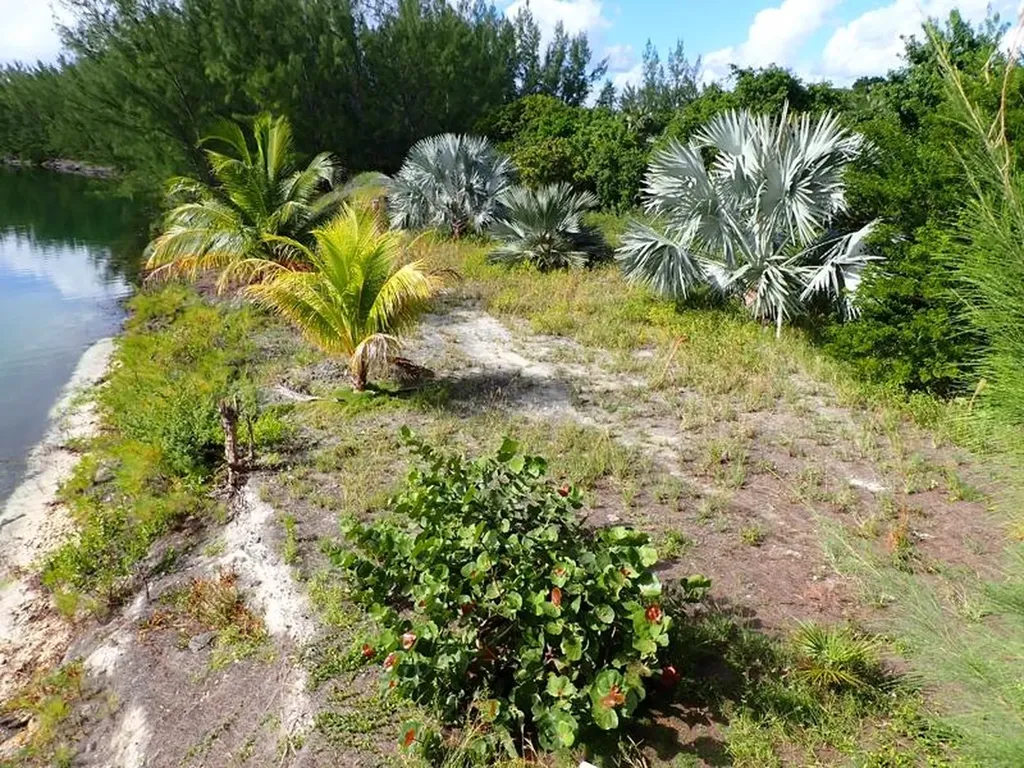 Rose Island Lots 115&116 New Providence Paradise Island BS