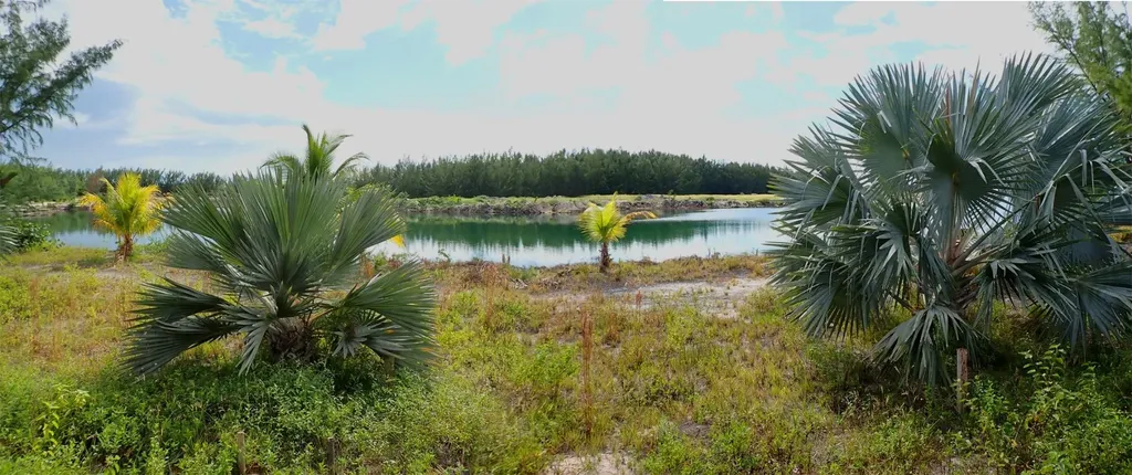 Rose Island Lots 115&116 New Providence Paradise Island BS