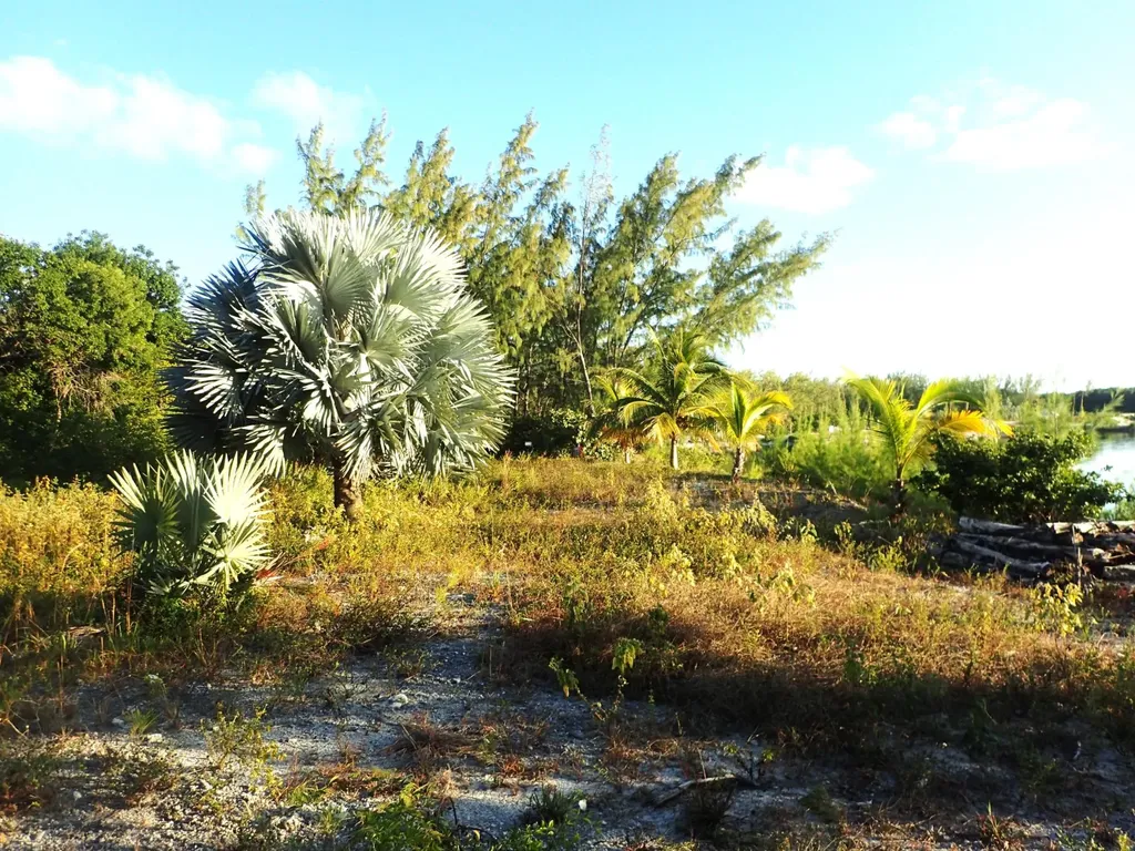 Rose Island Lots 115&116 New Providence Paradise Island BS