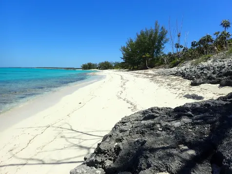Rose Island Lots 115&116 Rose Island BS