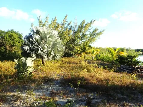 Rose Island Lots 115&116 Rose Island BS