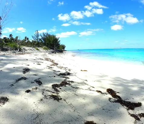 Rose Island Lots 115&116 Rose Island BS