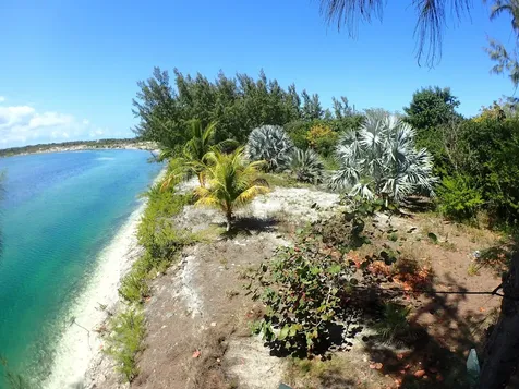 Rose Island Lots 115&116 Rose Island BS