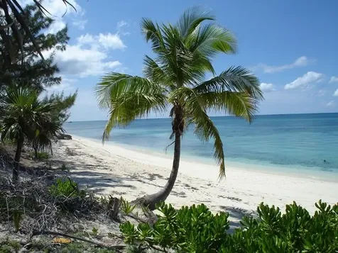 Rose Island Lots 115&116 Rose Island BS