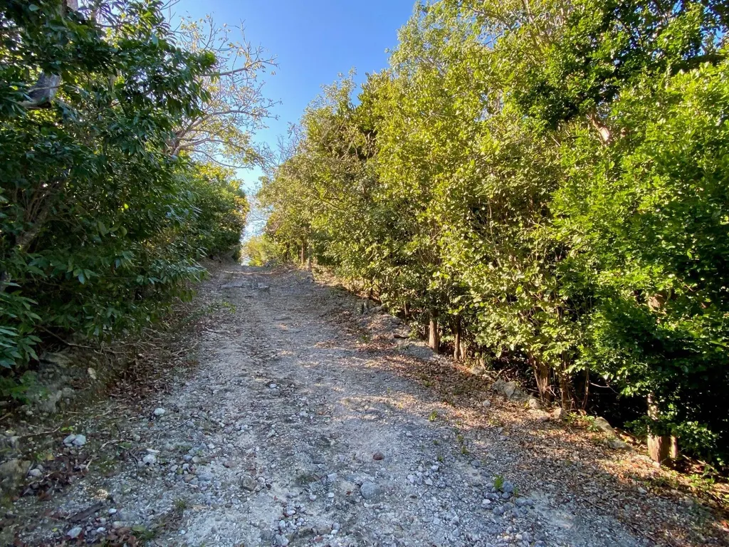 Lot 4 Summerview Abaco BS