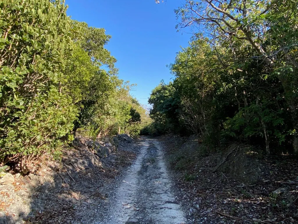 Lot 4 Summerview Abaco BS