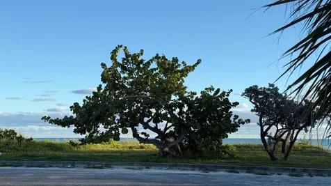 Fortune Bay Drive 2 Grand Bahama Freeport BS