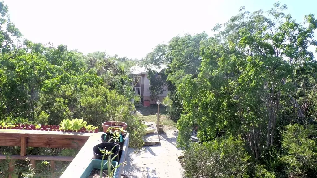 Brenville Miller Road Long Island BS