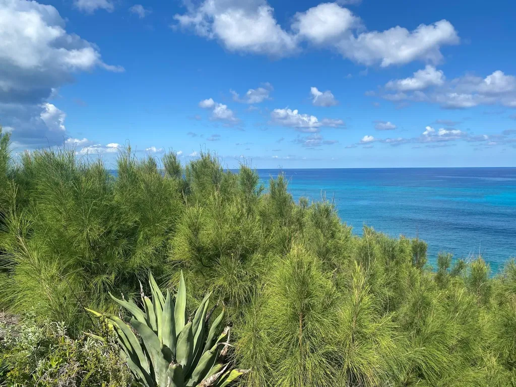 Lot 15 Blk 20 Rainbow Bay Eleuthera BS