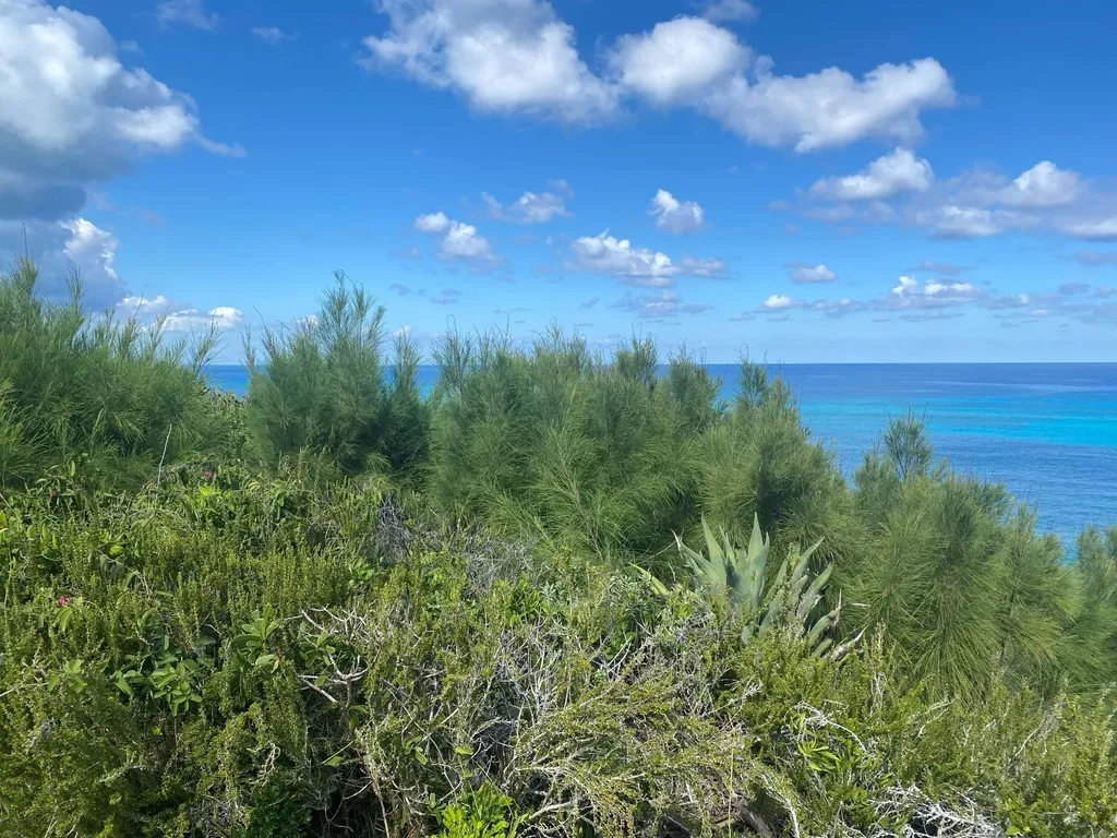 Lot 15 Blk 20 Rainbow Bay Eleuthera BS