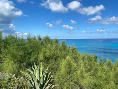 Lot 15 Blk 20 Rainbow Bay Eleuthera BS