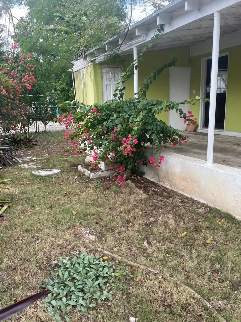 Woodland Road 10 New Providence Paradise Island BS