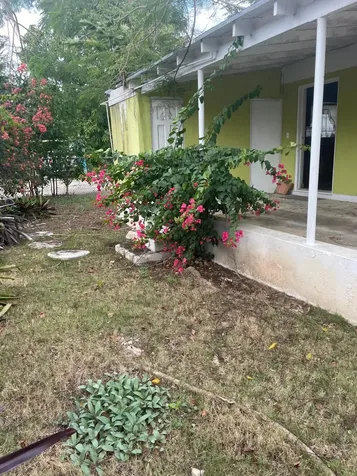 Woodland Road 10 New Providence Paradise Island BS