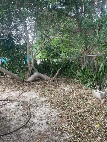 Woodland Road 10 New Providence Paradise Island BS