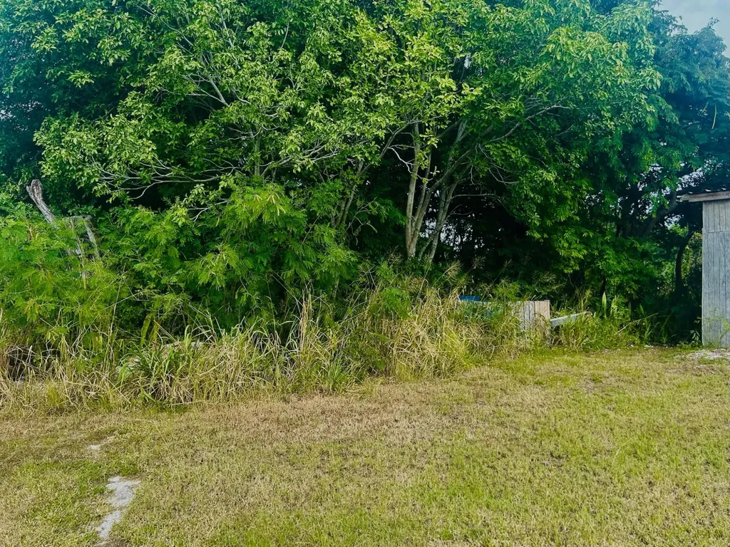 Rock Sound Eleuthera BS