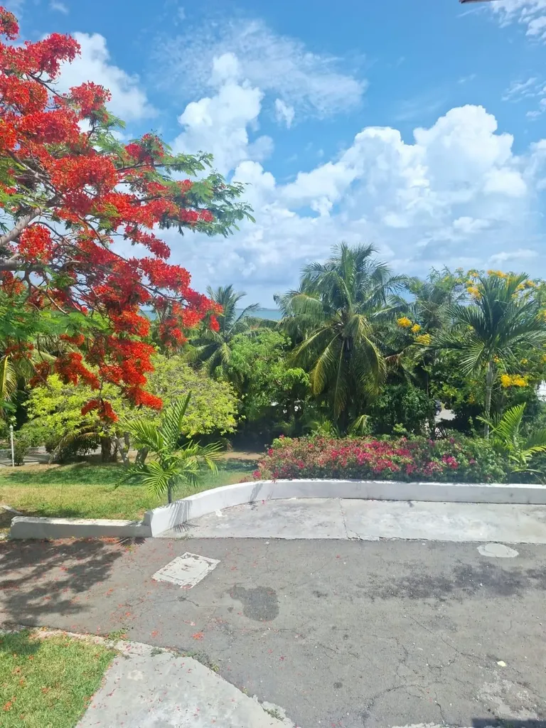 Chancery Lane Off Eastern New Providence Paradise Island BS