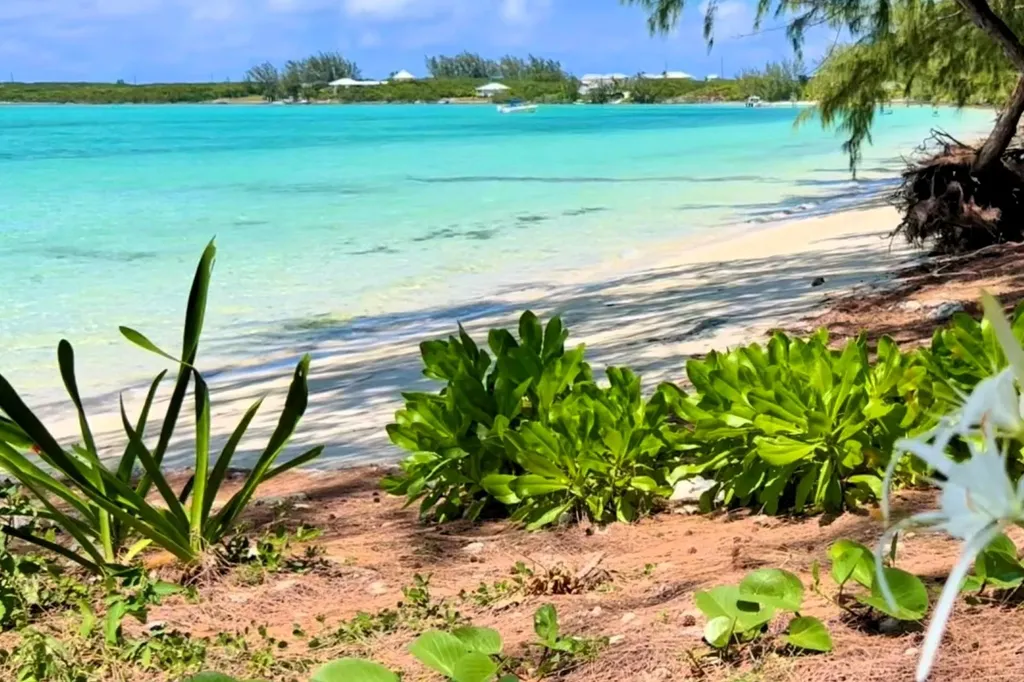 Cobalt Cottage Eleuthera BS