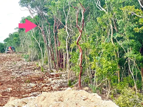 Eleuthera Gov Harbour Lot Eleuthera BS