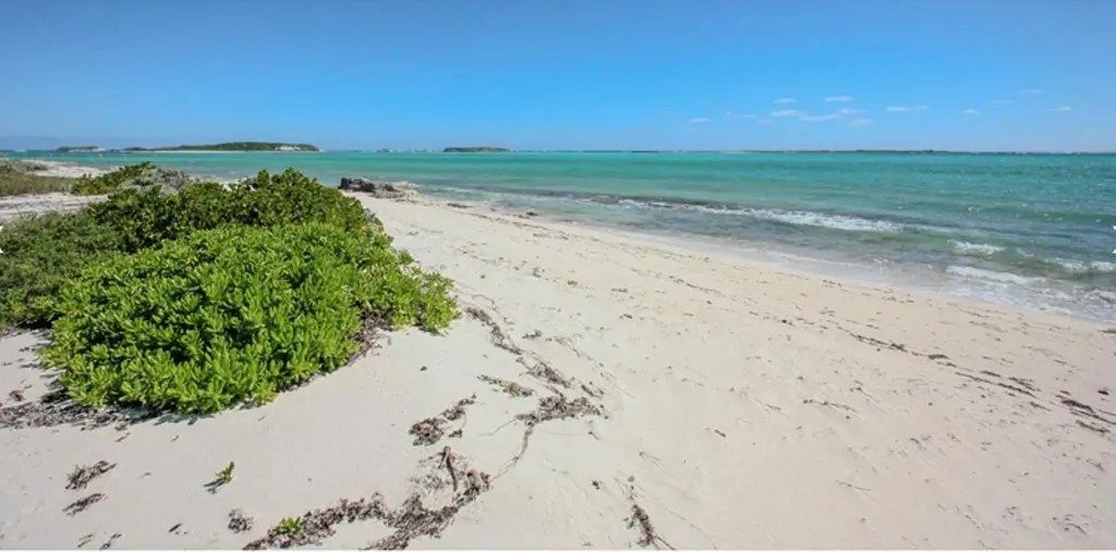 Snow Beach Cottage San Salvador BS