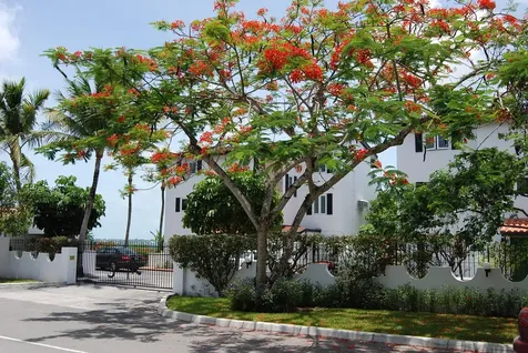 San Marino New Providence Paradise Island BS