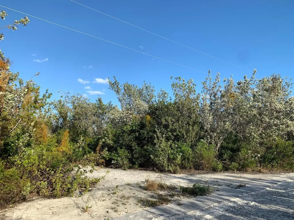 Lot 130 Stella Maris Long Island BS