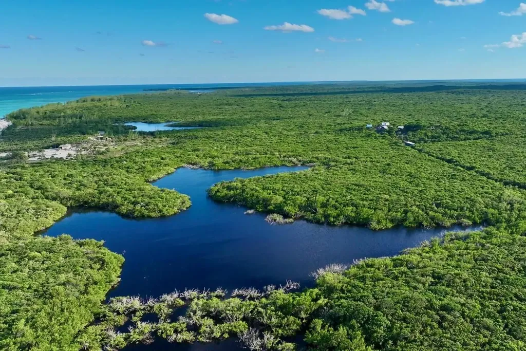 Camperdown Beachfront Lot Cat Island BS