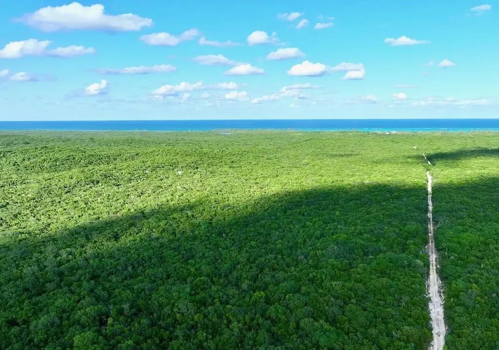 Camperdown Beachfront Lot Cat Island BS