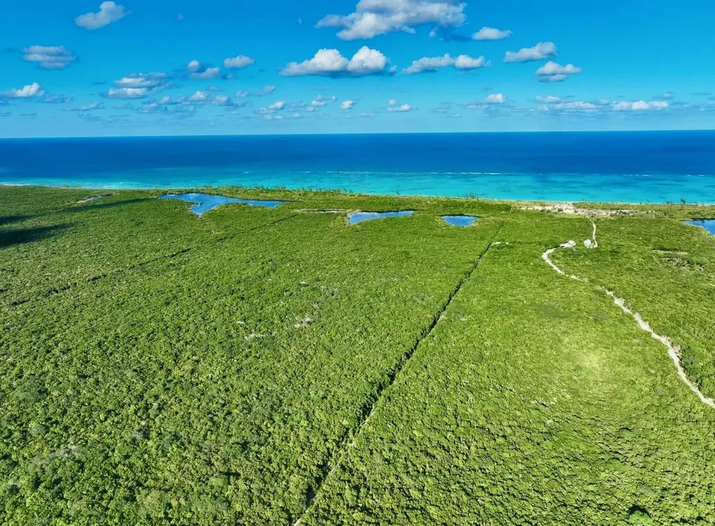 Camperdown Beachfront Lot Cat Island BS