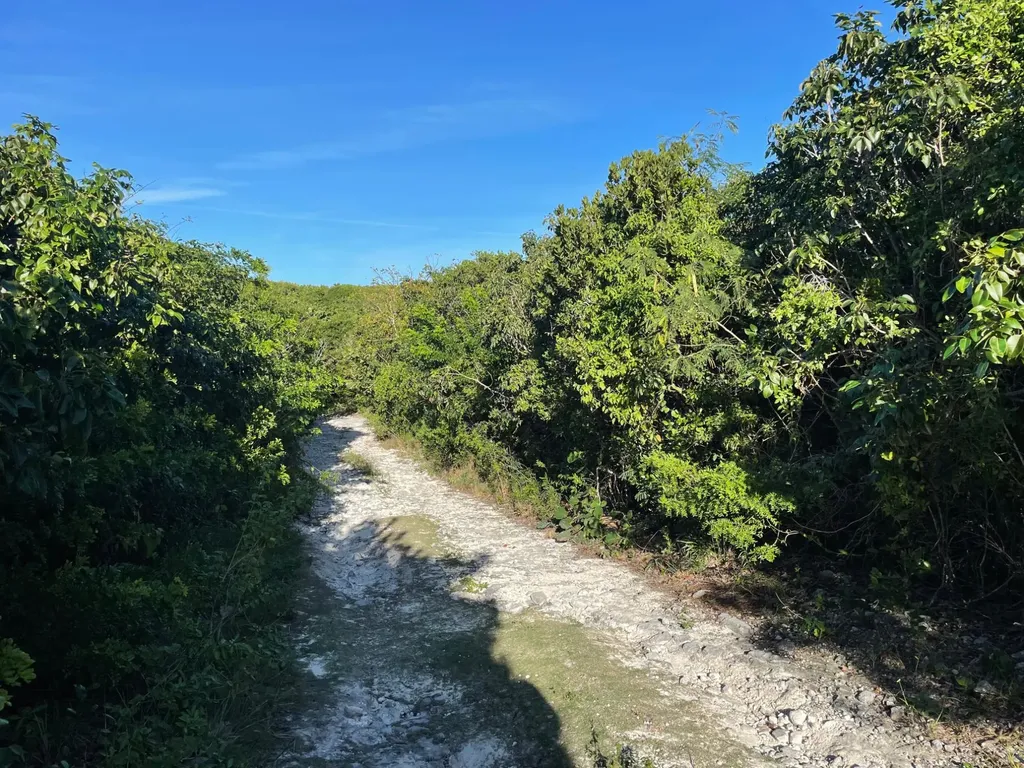 Eleuthera Island Shores Eleuthera BS