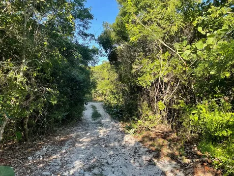 Eleuthera Island Shores Eleuthera BS