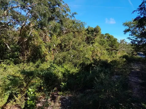 Hummingbird Heights Exuma BS