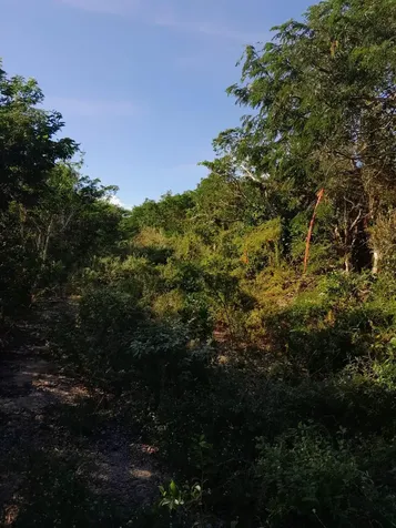 Hummingbird Heights Exuma BS