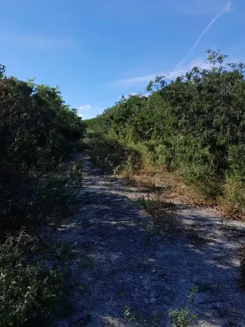 Hummingbird Heights Exuma BS