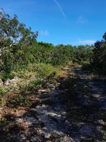 Hummingbird Heights Exuma BS