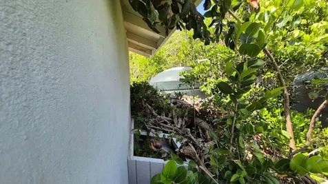 2.39 Acres On The Bluffs Abaco BS