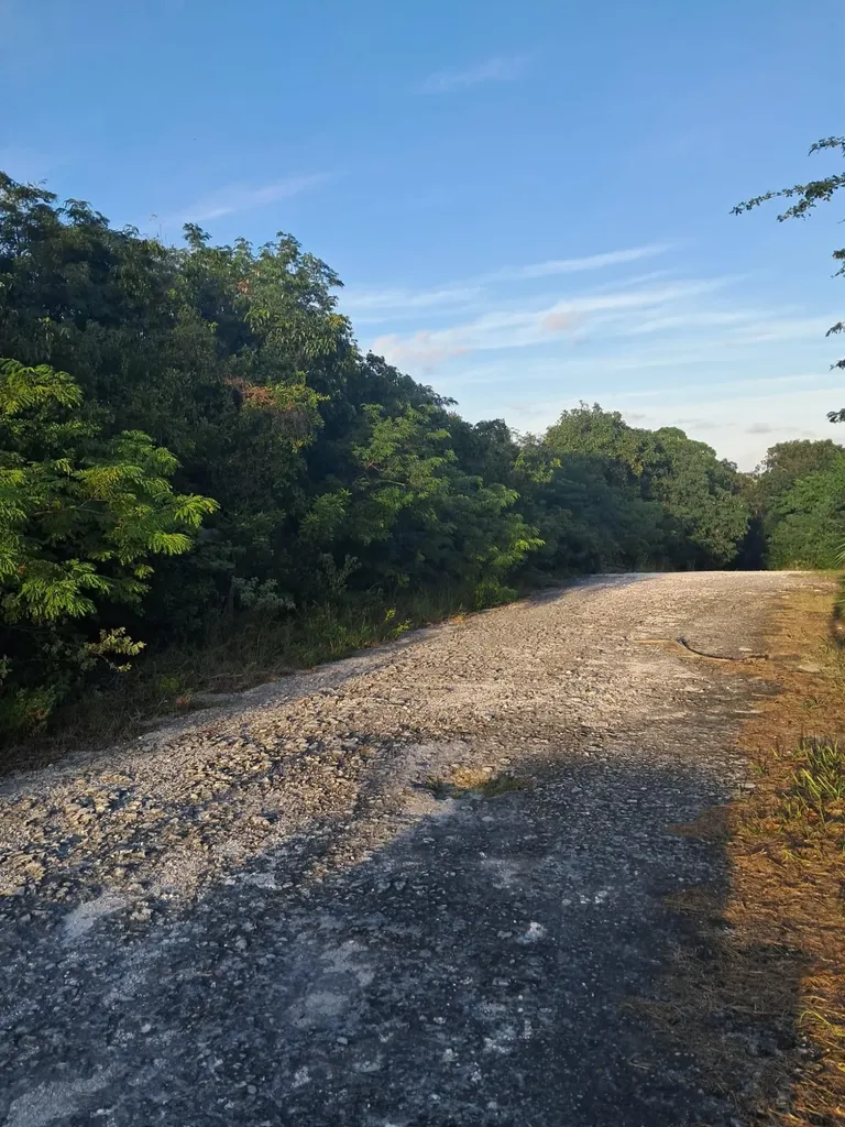 9720 Dogberry Road Exuma BS