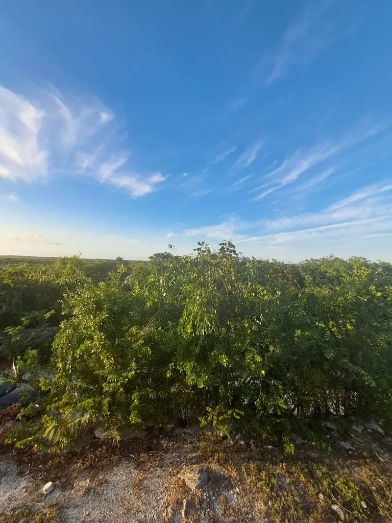 9720 Dogberry Road Exuma BS