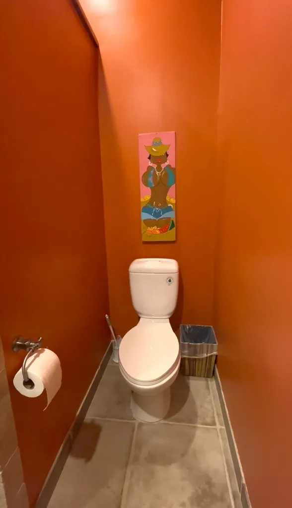 Shannas Cove Cat Island BS