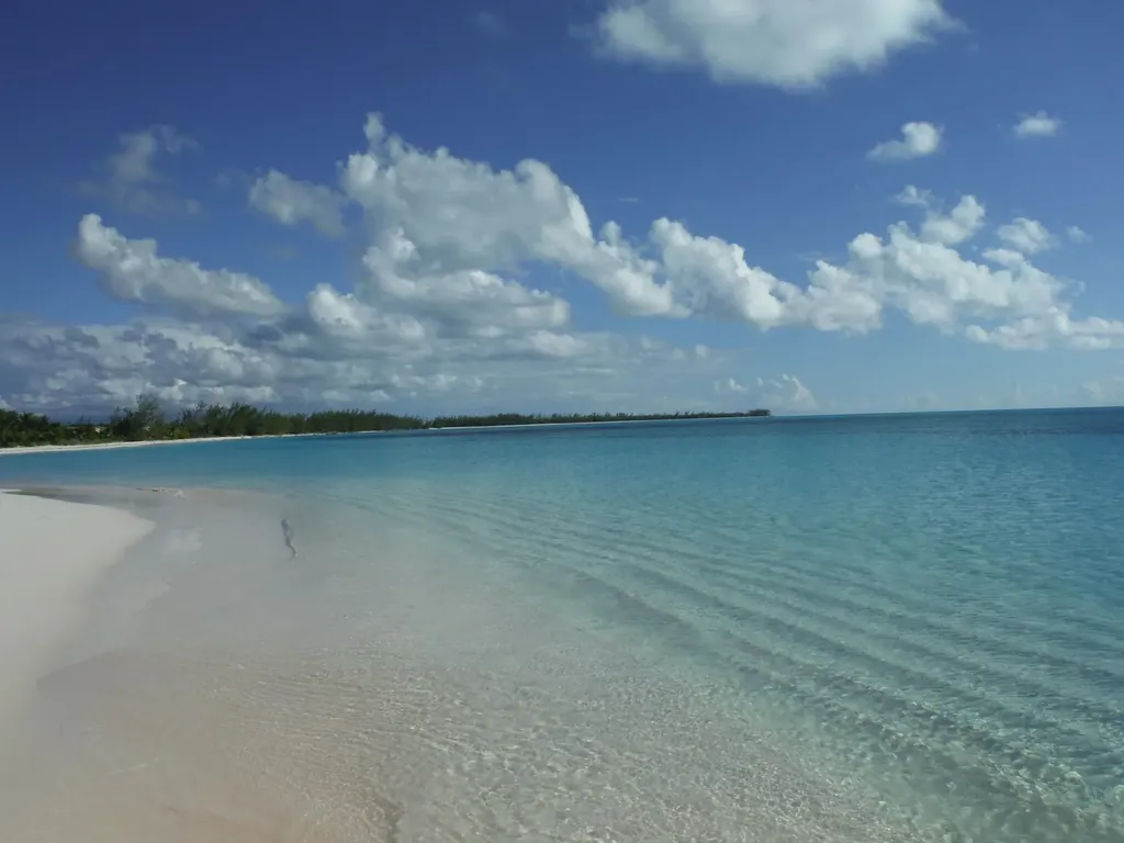 Shannas Cove Cat Island BS