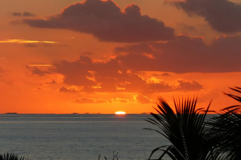 Shannas Cove Cat Island BS