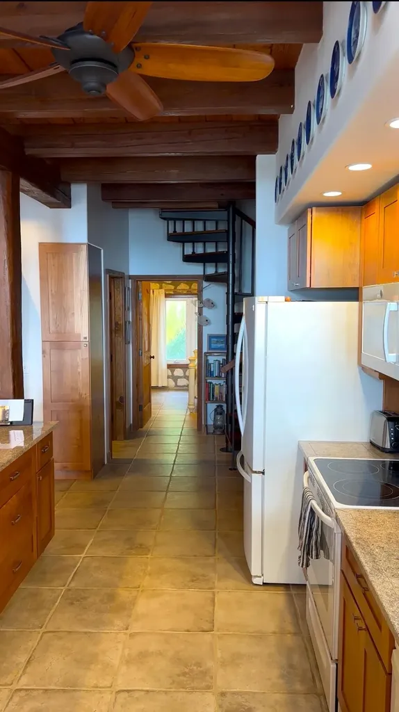 Shannas Cove Cat Island BS