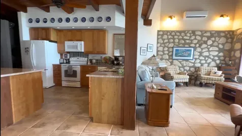 Shannas Cove Cat Island BS